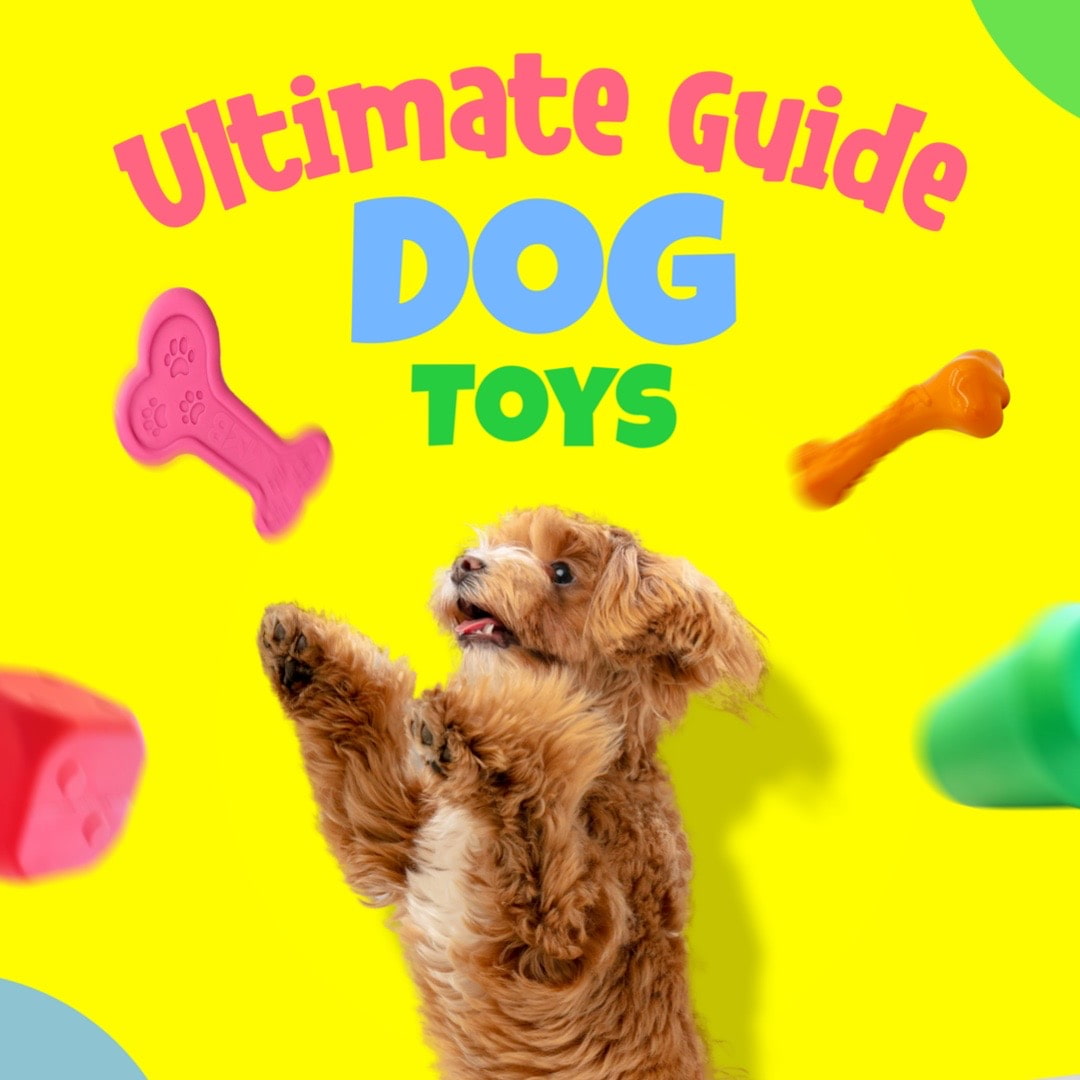 Dog Toys: Ultimate Guide For Durable and Engaging Toys