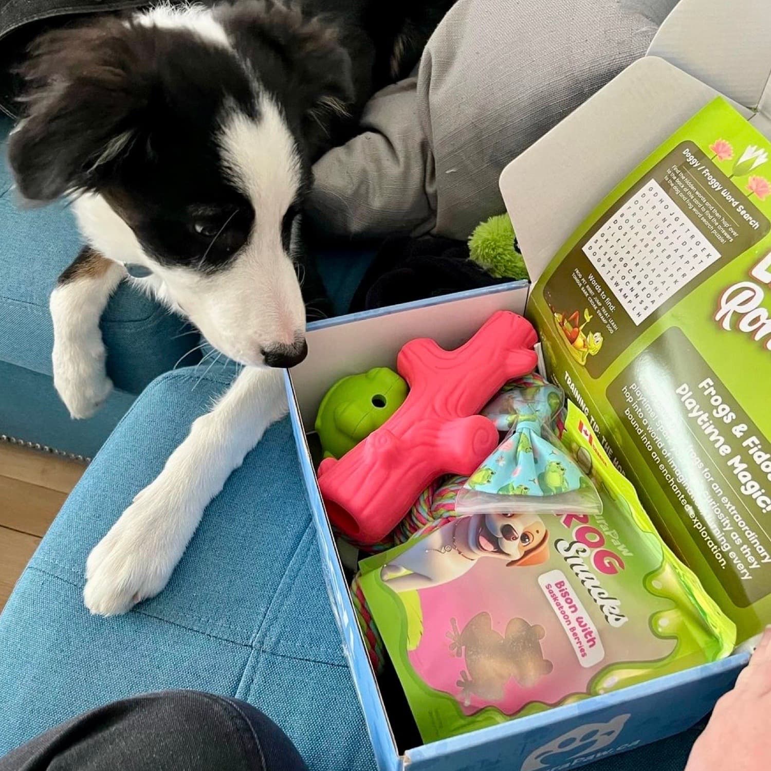 DuraPaw Unboxing Dog Toys Treats Subscription Theme Box