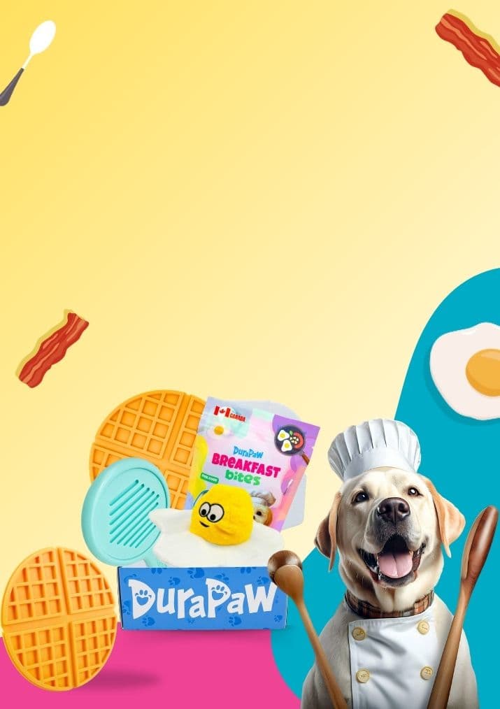 Barkfast Dog Subscription Box Theme