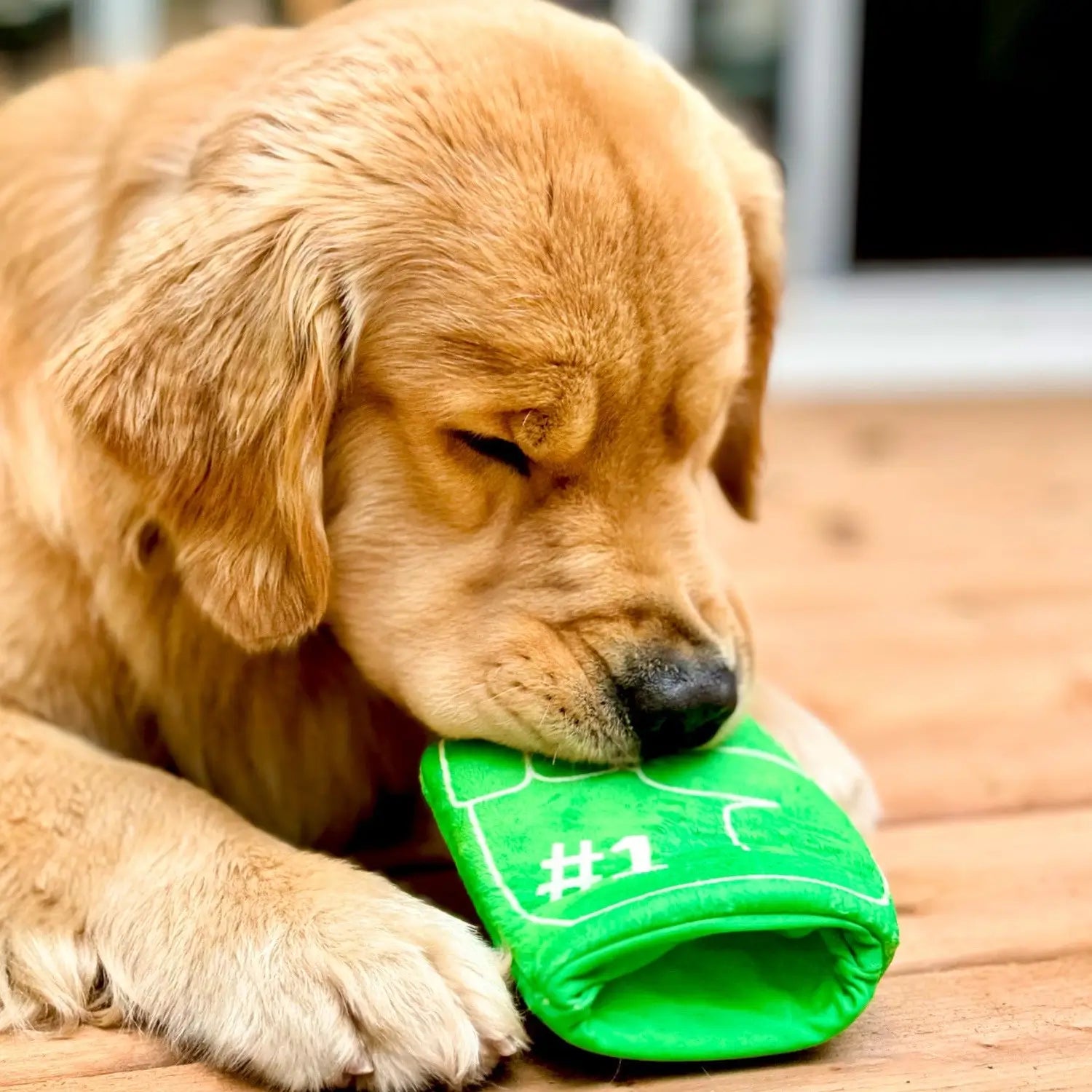 Pet Dog Chewing Foam Finger Puppy Toy