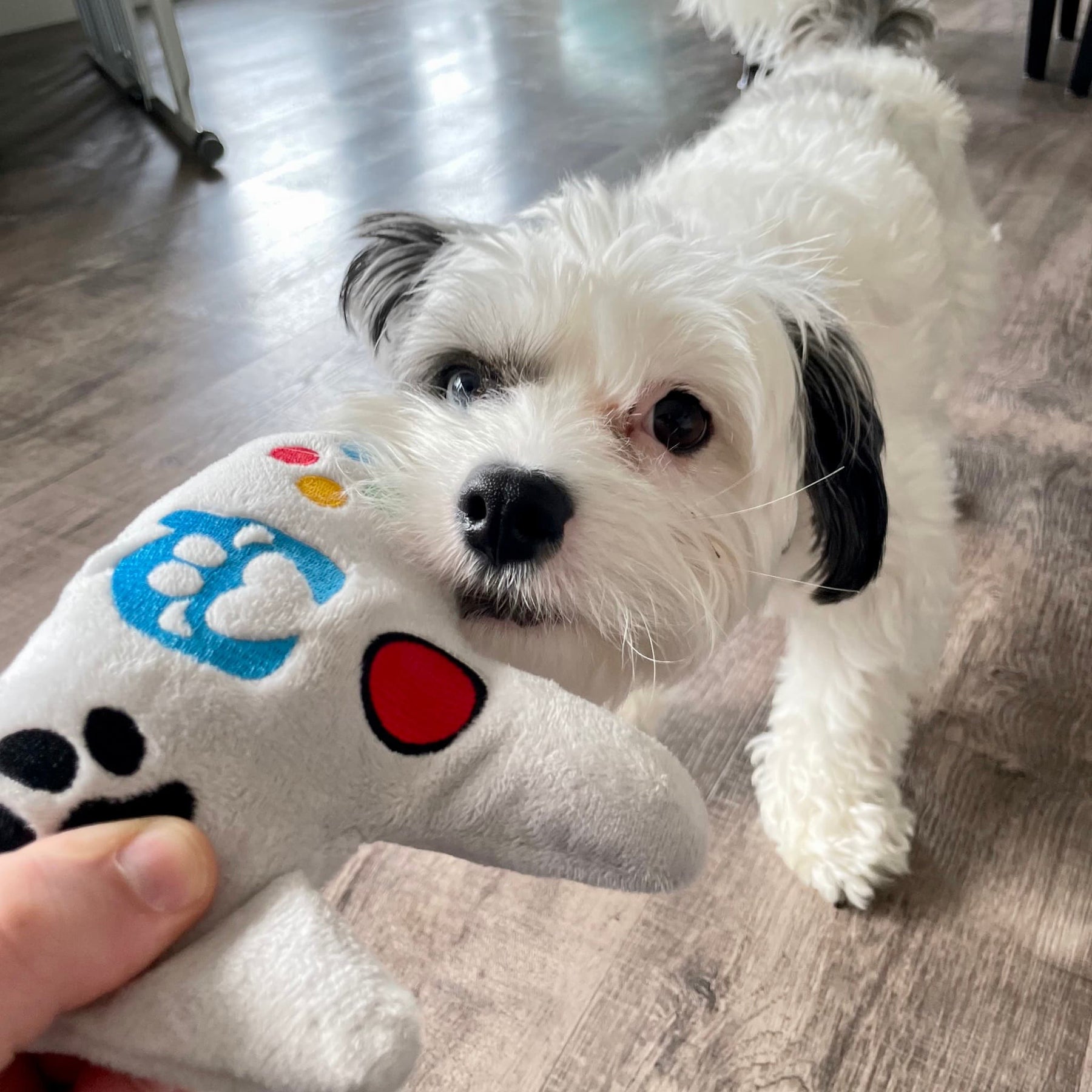 Game Controller Squeaky Dog Toy Made In the USA » Pampered Paw Gifts