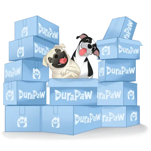 DuraPaw 12 Month Annual Plan Dog Subscription Box Cartoon Dog Box