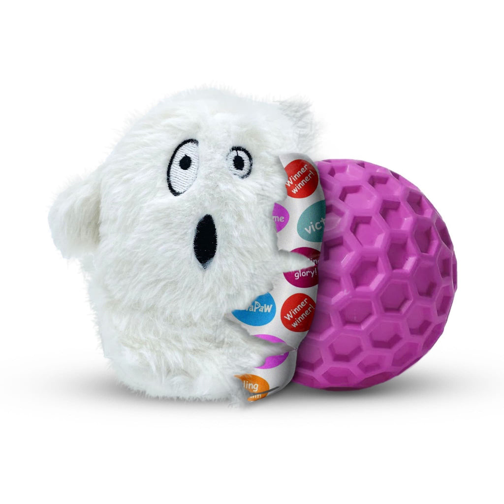 Dog toy with sales a toy inside