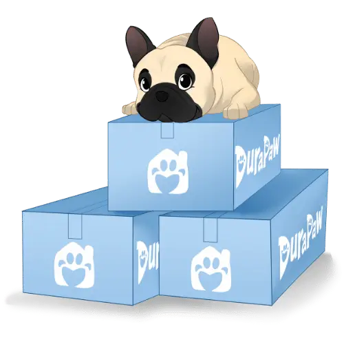 DuraPaw 3 Month Plan Dog Subscription Box Cartoon Dog Box