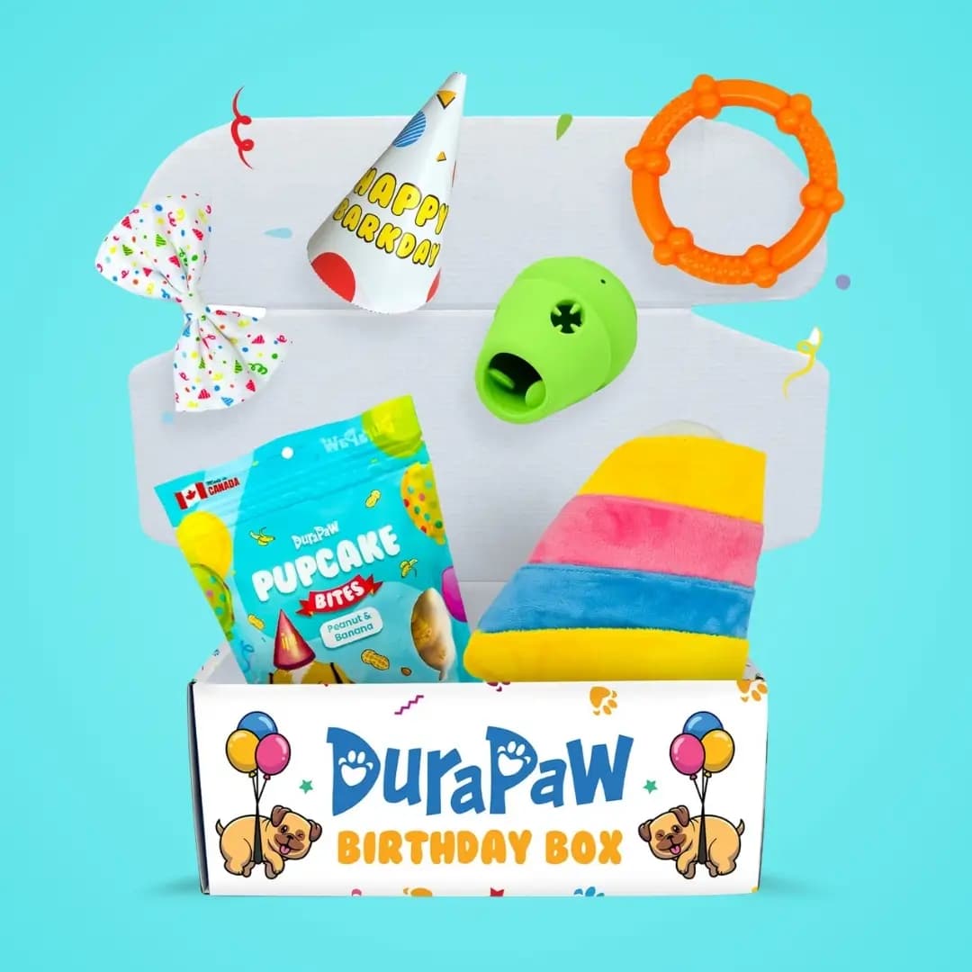 Puppy Dog Birthday Barkday Toy Treat Gift Surprise Box Present
