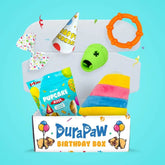 Puppy Dog Birthday Barkday Toy Treat Gift Surprise Box Present
