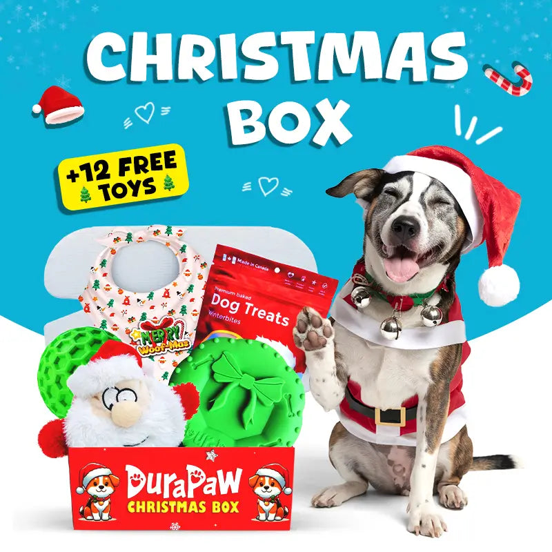 DuraPaw Christmas Gift Dog Toy Subscription Boxes Canada