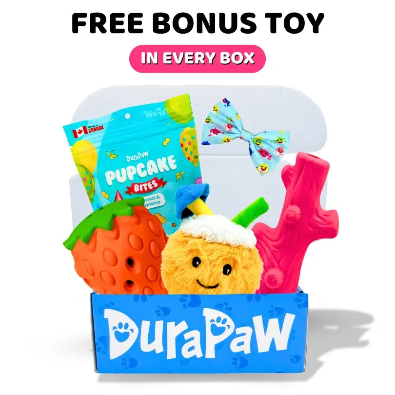 DuraPaw Free Toy in Every Dog Subscription Box