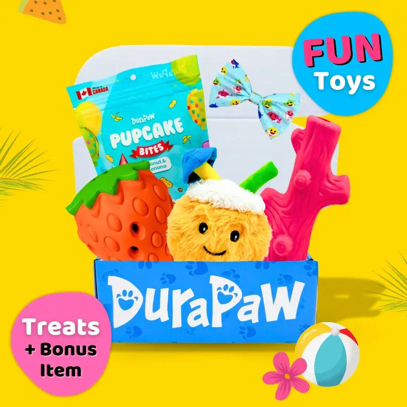 Dog Toy Subscription Box Full of Toys with Yellow Colorful Summer Themed Background