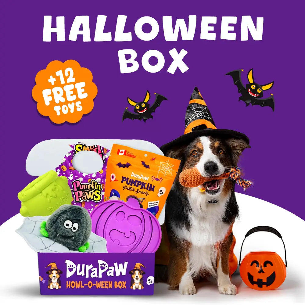 DuraPaw Halloween Monthly Dog Toy Subscription Box Gift