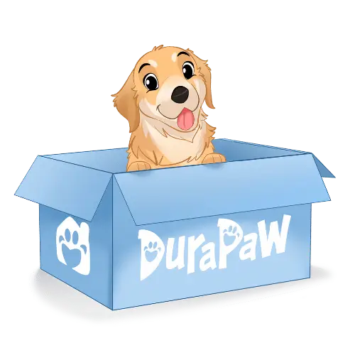 DuraPaw Monthly Dog Subscription Box Cartoon Dog Box