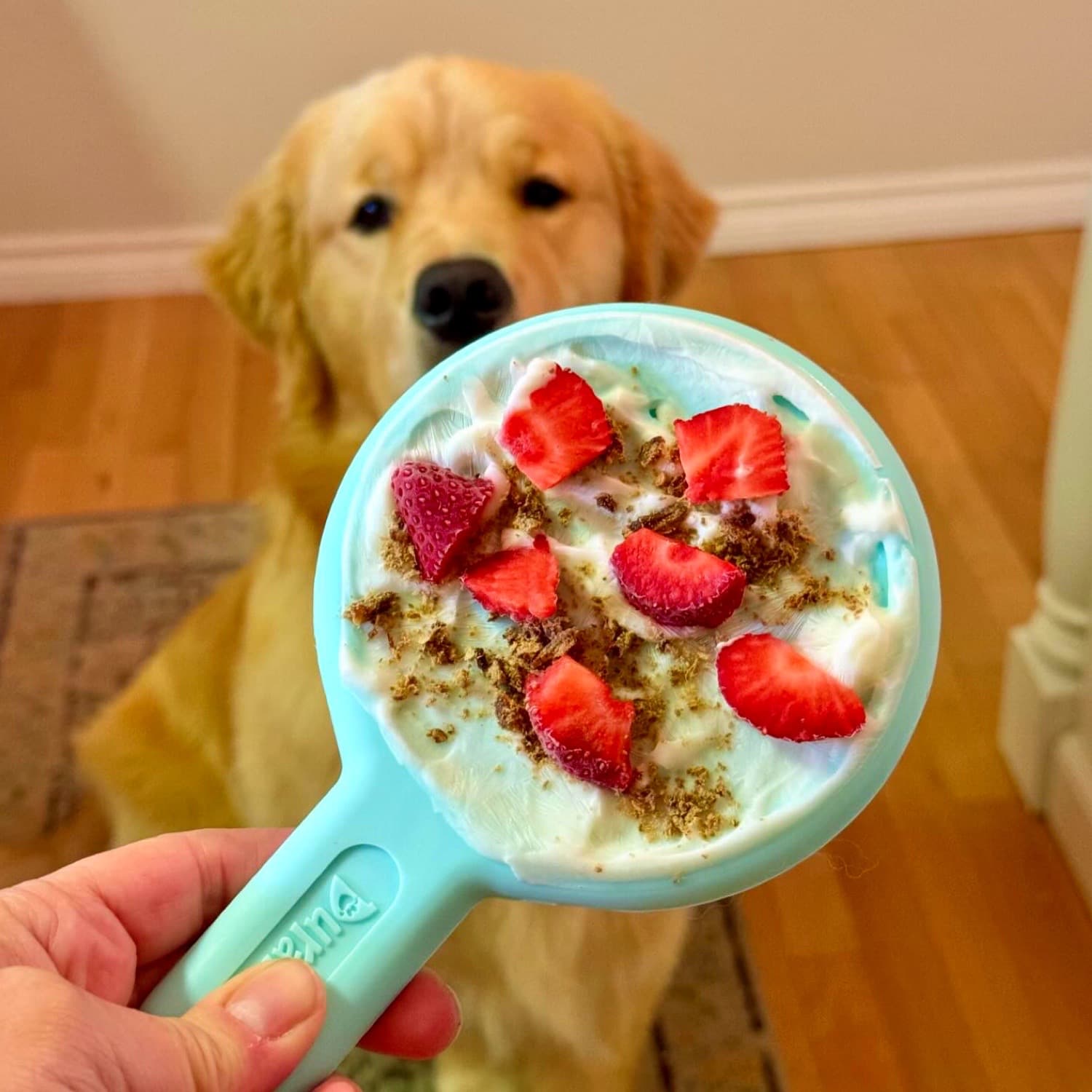 Dog Enrichment Toy Strawberry Yoghurt Lick Mat Recipe