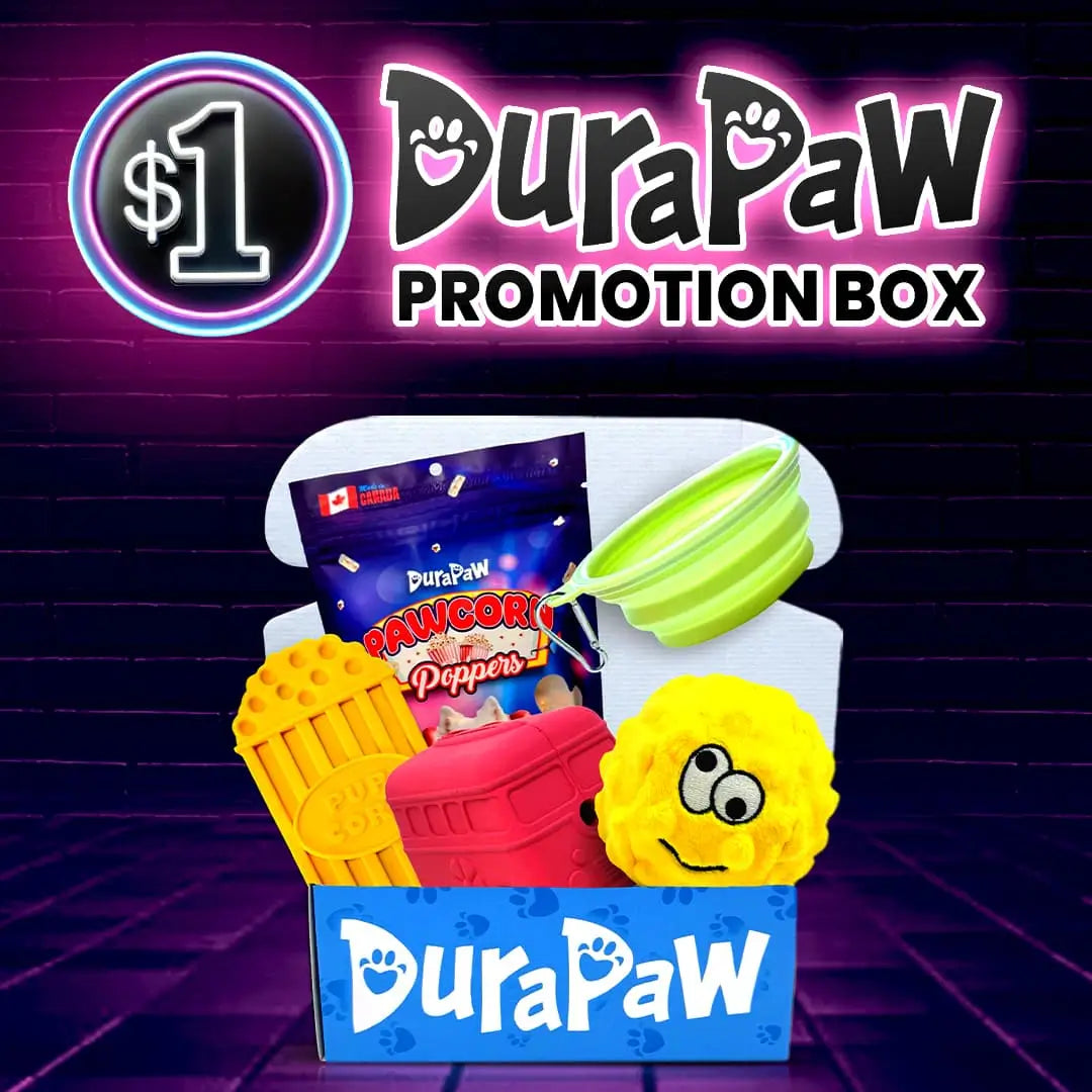 DuraPaw $1 Dollar Dog Toy Box Promotion Offer Black Friday