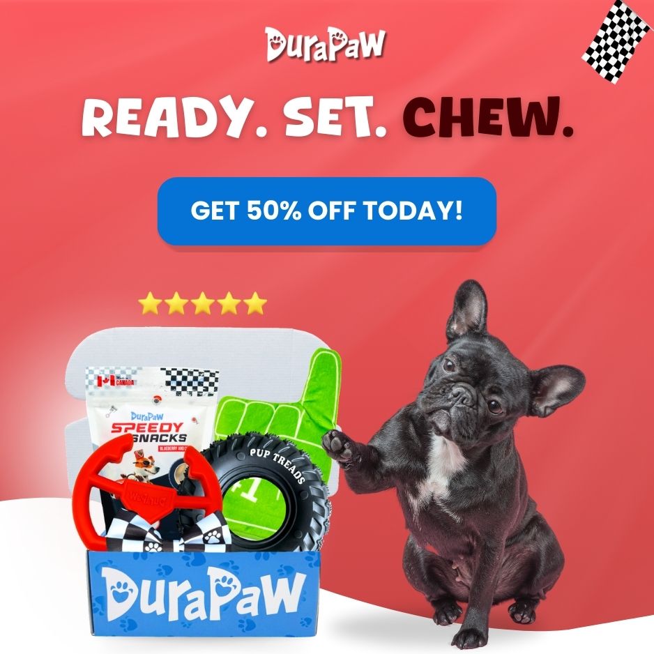 DuraPaw Racing Themed Monthly Dog Box