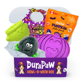 DuraPaw Halloween Holiday Dog Toy Treat Gift Box