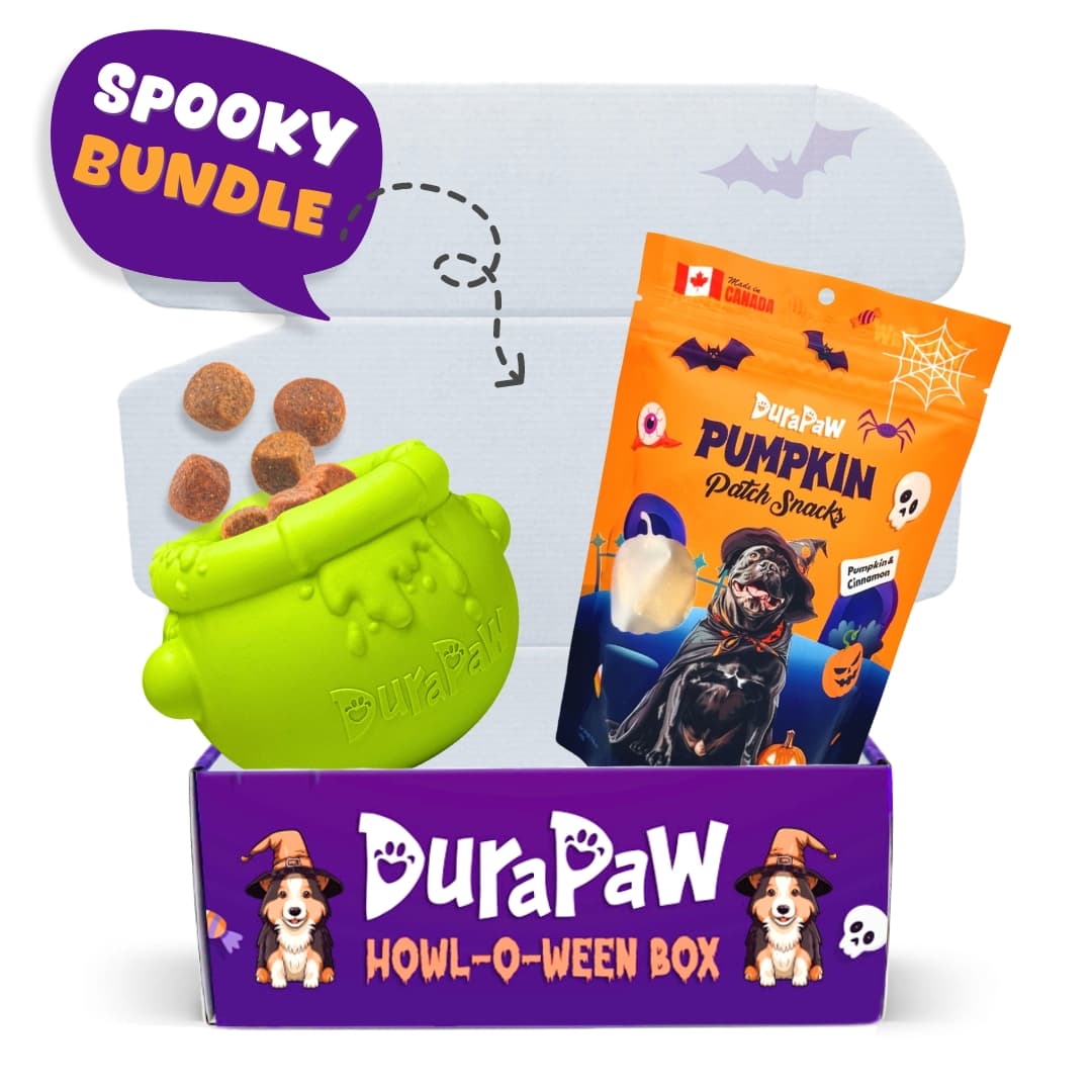 DuraPaw Halloween Dog Toy Treat Bundle Savings Rubber Option