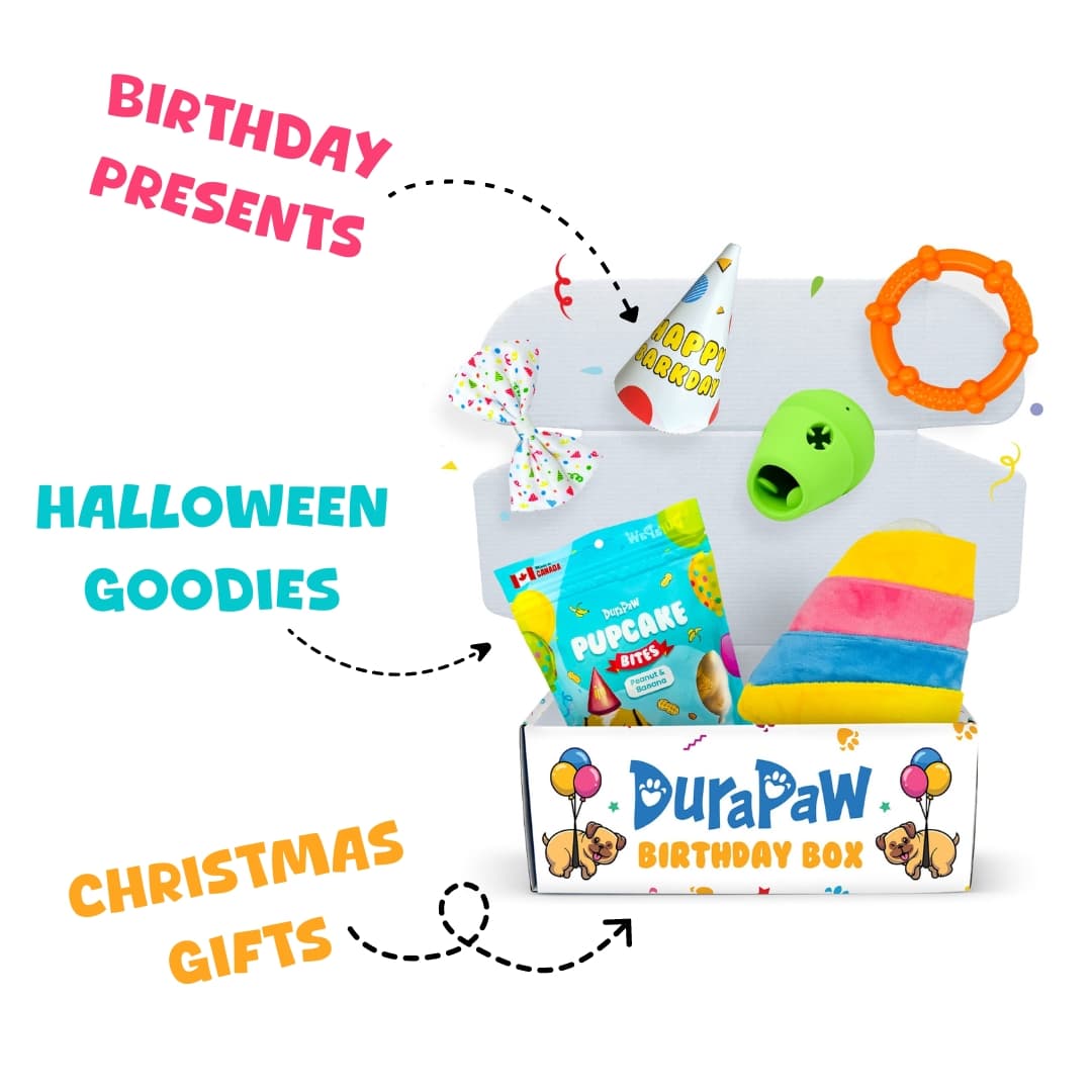 DuraPaw Dog Subscription Boxes Canada