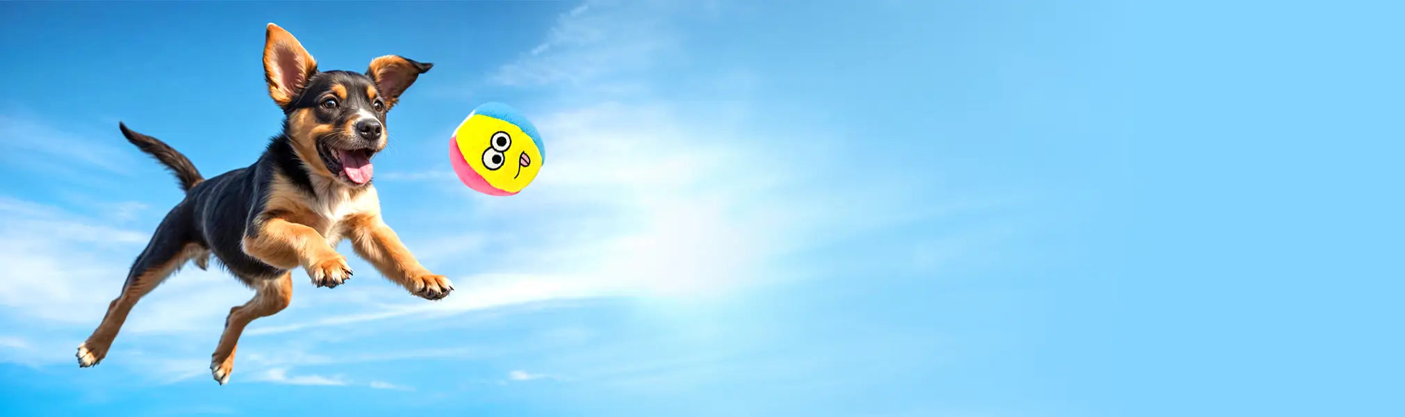 Dog Jumping in Blue Sky Fetching DuraPaw Beach Ball Toy in the Air