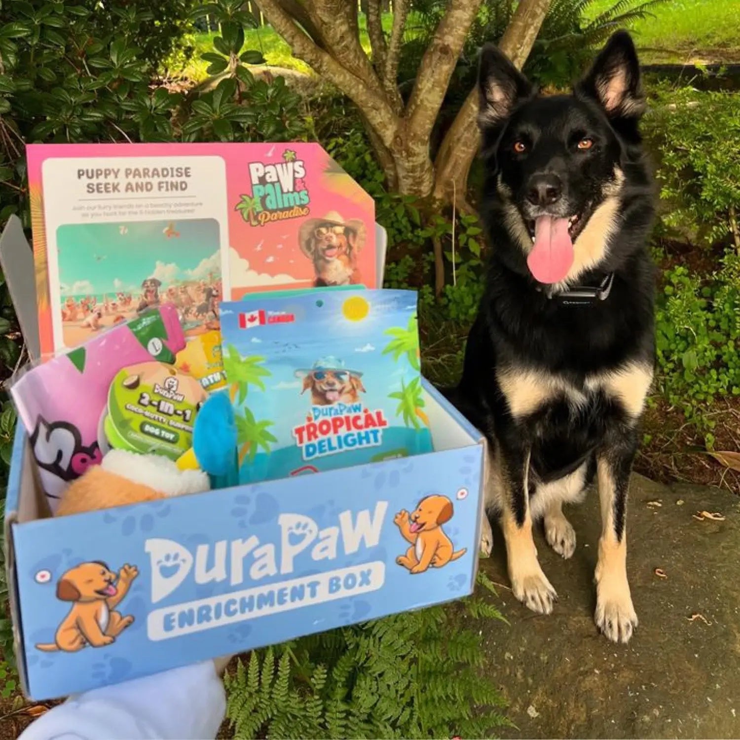 Unboxing Monthly Summer Dog Toy Subscription Box