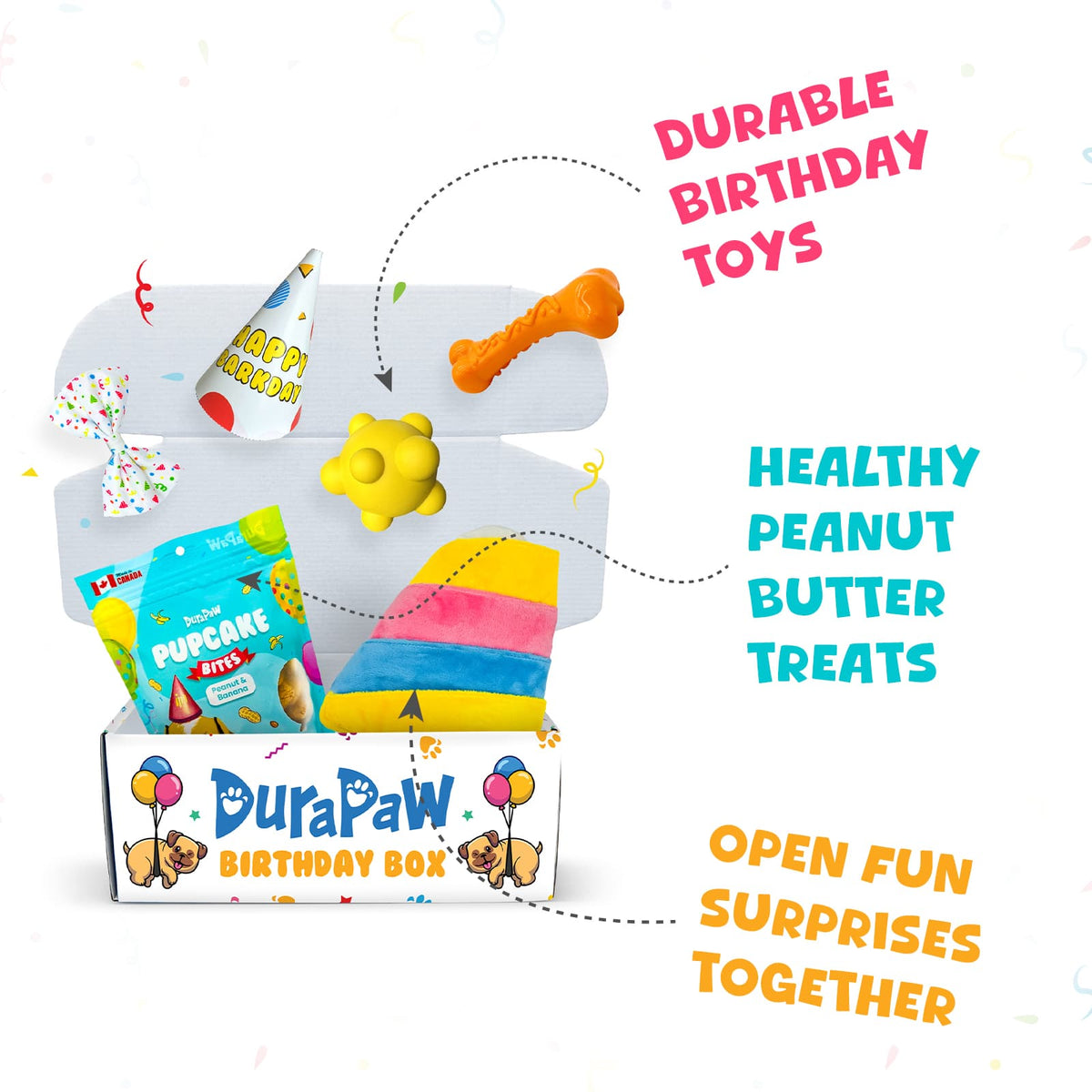 Durable Birthday Gift Idea for Puppy Dog First Birthday