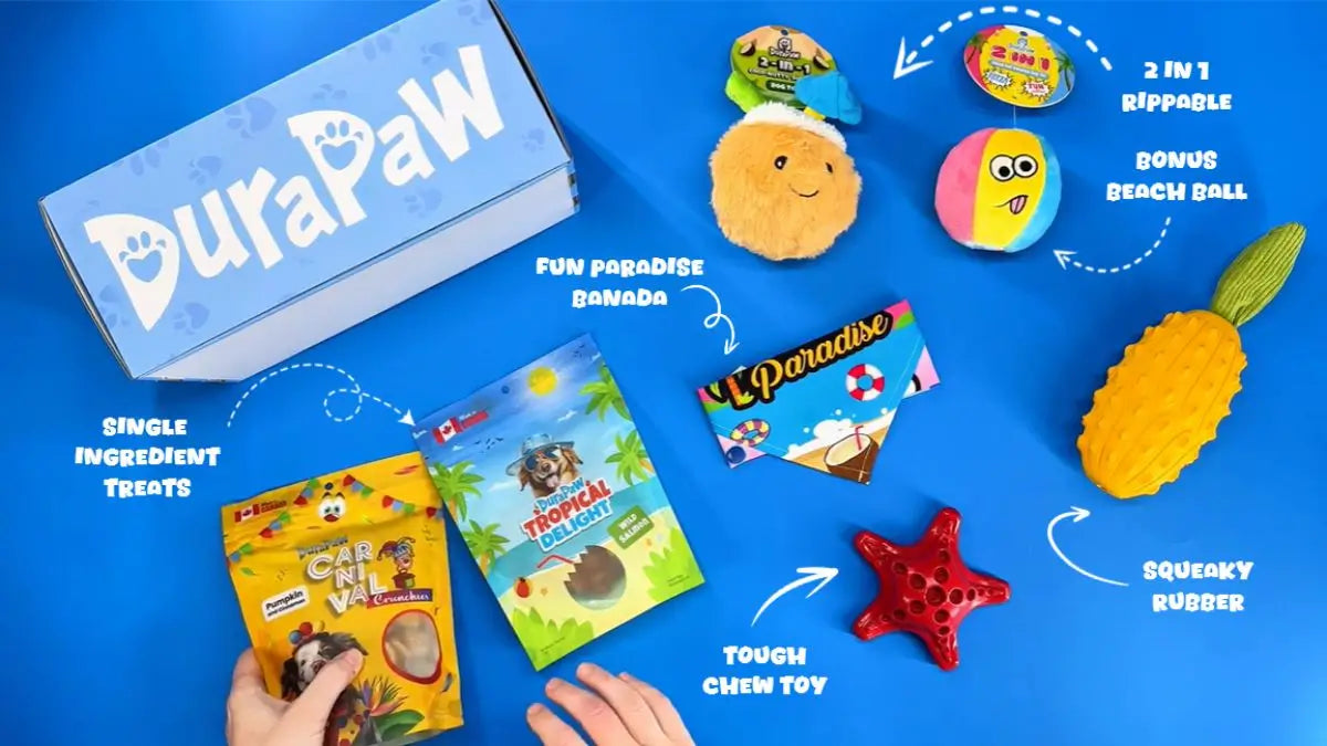 DuraPaw Paradise Dog Subscription Box Unboxing Video July 2024