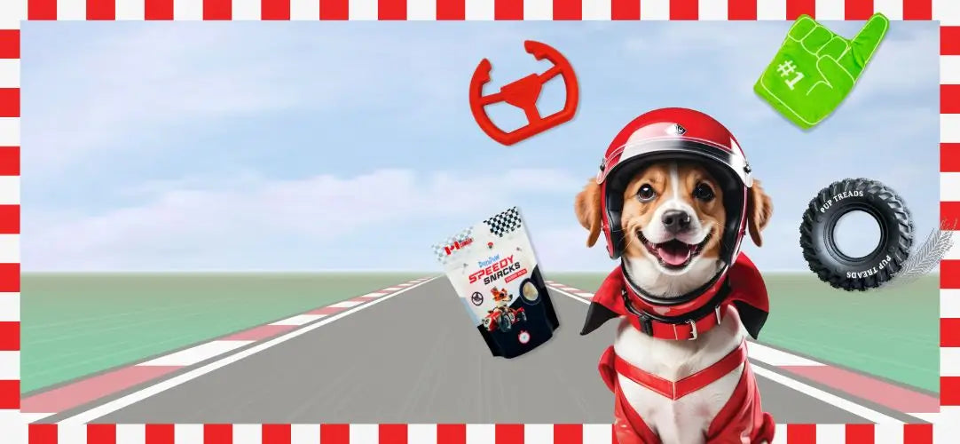 Pup Cup Racing Dog Subscription Box Theme