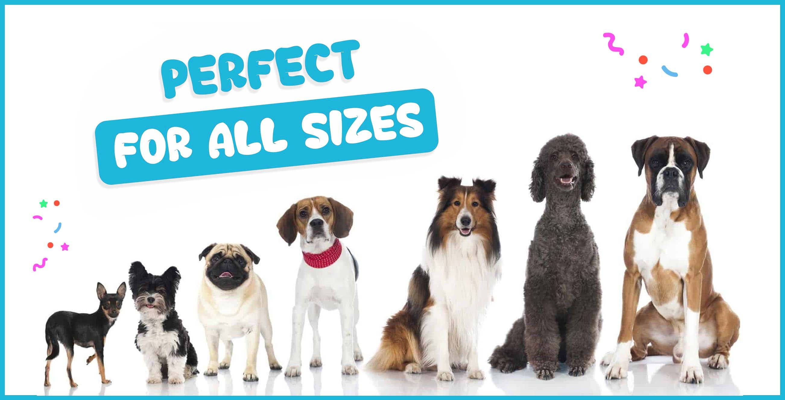 Multiple Size Dog Breeds List
