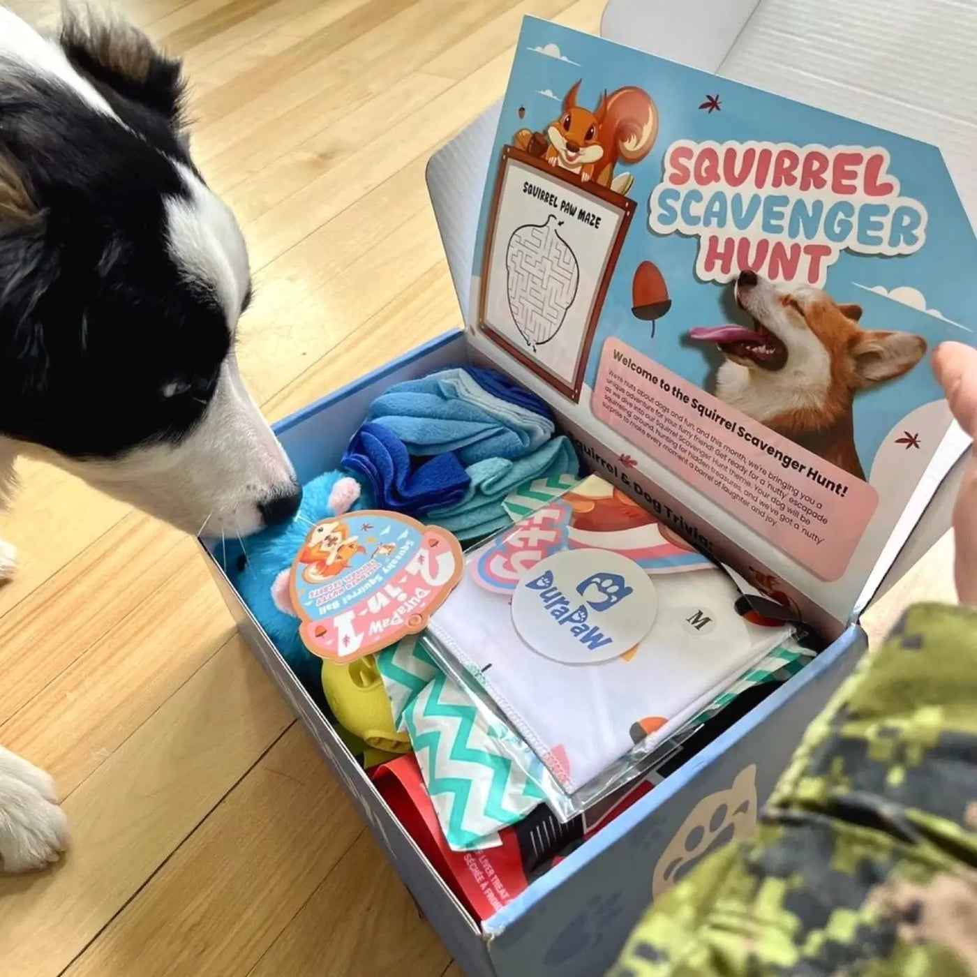 Unboxing Spring Dog Toy Subscription Box