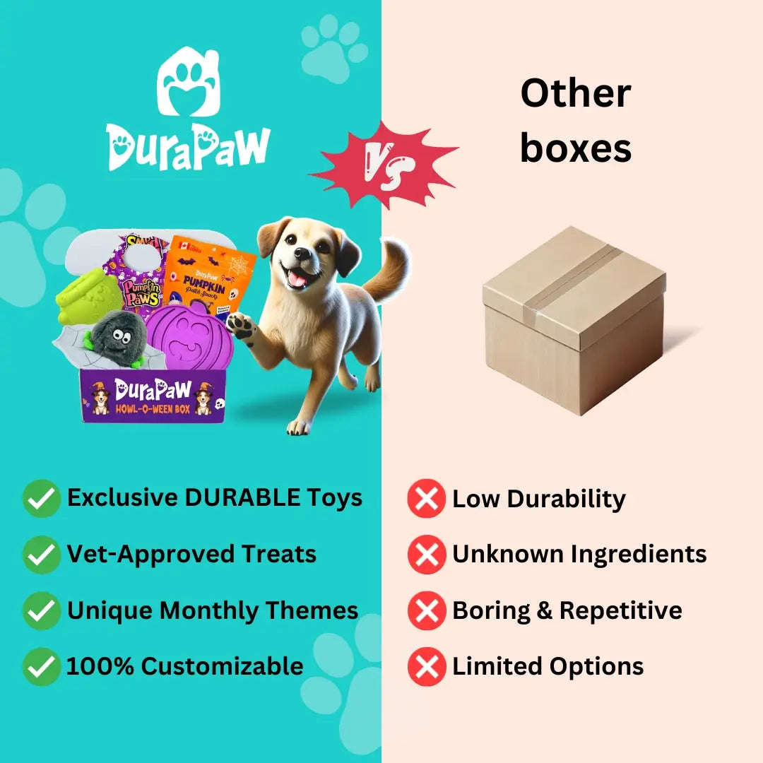 3 Month Plan - Ultimate Dog Enrichment Box