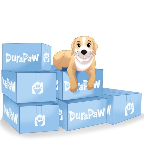 DuraPaw 6 Month Plan - Ultimate Theme Pack